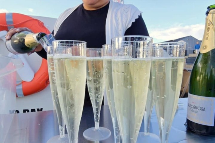 a person holding a glass of wine